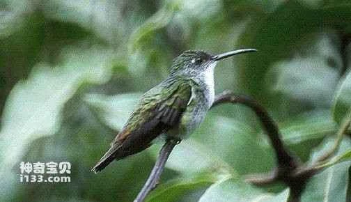 2023032210280295.jpg 95eef01f3a292df57a946006b8315c6034a8734a_九雷图片转换器.jpg