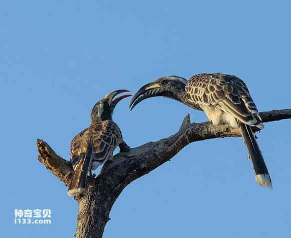 2023050522912894.jpg 6846d8678a0d9abc62f38eca1d6395b6_九雷图片转换器.jpg