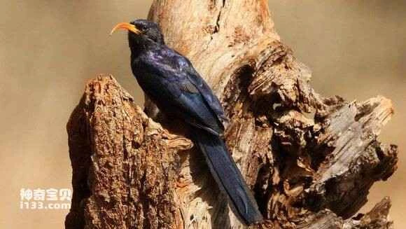 2023042011459578.jpg f6fabb3e8794a4c290a19ecd04f41bd5af6e39cd_九雷图片转换器.jpg