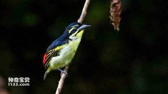 2023051461997588.jpg ee69f217fdfaaf51c0c8717a865494eef11f7abb_九雷图片转换器.jpg