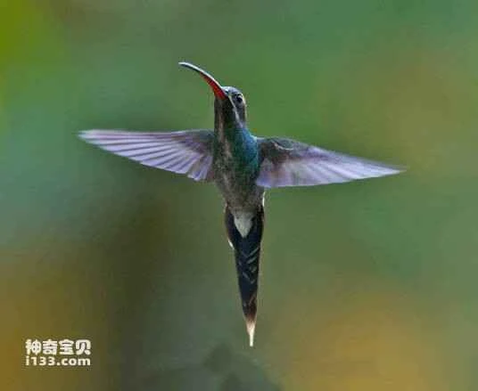 2023032078596302.jpg 1c950a7b02087bf4620cd5ebf6d3572c10dfcfd4_九雷图片转换器.jpg