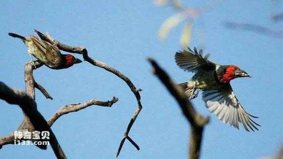 2023051412017301.jpg a7e6cbc37d1ed21bd0544622a76eddc453da3fcf_九雷图片转换器.jpg