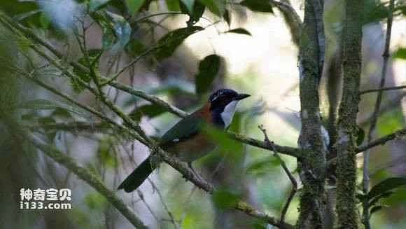 2023042137114088.jpg c956d798a9014c0810bf1573007b020879f4f4d7_九雷图片转换器.jpg