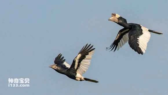 2023050318667331.jpg 9c4cde3433fa828bd2630928f01f4134960a5a28_九雷图片转换器.jpg