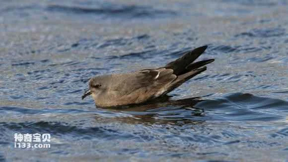 2023031513662523.jpg 567b2437acaf2eddb68ab637871001e93801936c.jpg