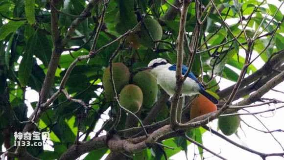 2023042933737206.jpg 233d17f1f736afc3e0e0ce12be19ebc4b6451248_九雷图片转换器.jpg