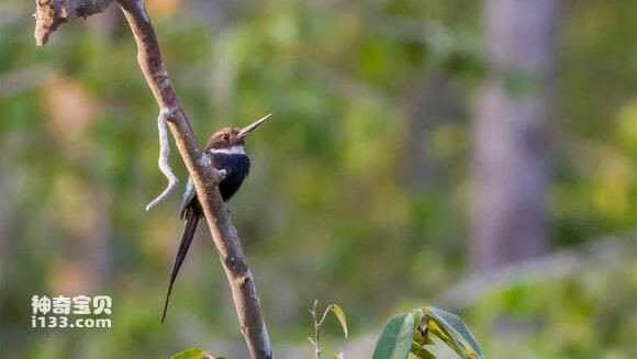 2023050821020167.jpg 99732591f603738de09b1ce3b91bb051fa19ec95_九雷图片转换器.jpg