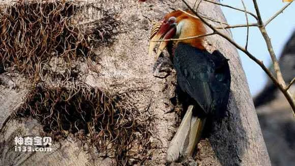 2023050614746816.jpg a66a597bdab44aedb66050c3bd1c8701a18bfb5b_九雷图片转换器.jpg