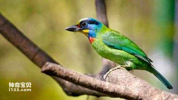 2023051791156412.jpg 2c41e845ebf81a4c2665e5fddc2a6059252da626_九雷图片转换器.jpg