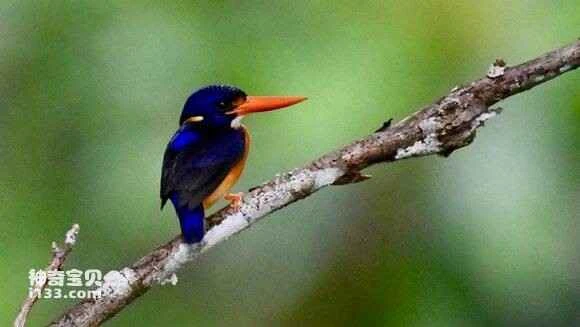 2023050153068189.jpg ee69f217fdfaaf510ad748e2815494eef01f7a2f_九雷图片转换器.jpg