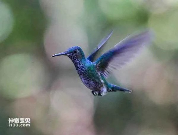 2023032516553184.jpg d194bd5e05565db29ec65f8c8d67ae9f_九雷图片转换器.jpg