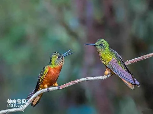 2023032711120174.jpg 0753f5f8cc1c5c16e10b6149fd986523_九雷图片转换器.jpg