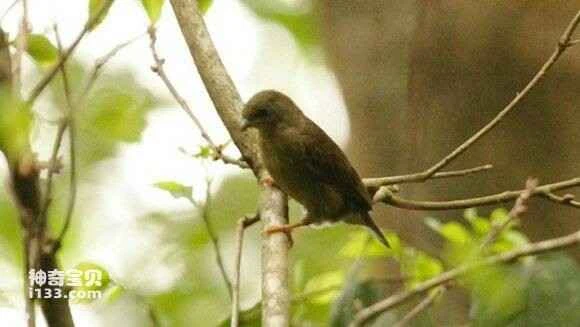 2023051810412324.jpg be5d680928381f3029c8799ca2014c086f06f0a2_九雷图片转换器.jpg