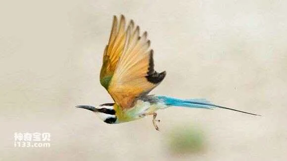 2023042121080980.jpg 304a3c42fbf2b211b8d61192c08065380ed78ee1_九雷图片转换器.jpg