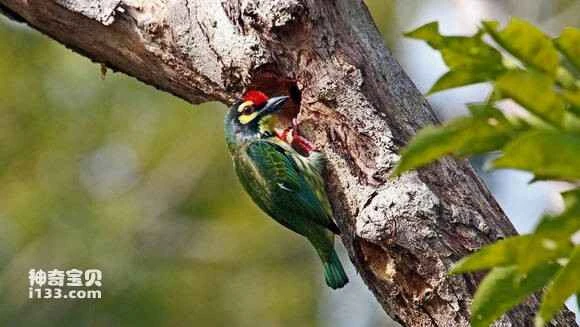 2023051781361787.jpg b151f8dca144ad3479cb06b2dba20cf431ad8506_九雷图片转换器.jpg