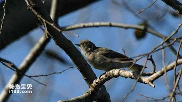 2023051814097002.jpg 402b4a2cd42a2834cb8fb83e50b5c9ea15cebf4a_九雷图片转换器.jpg