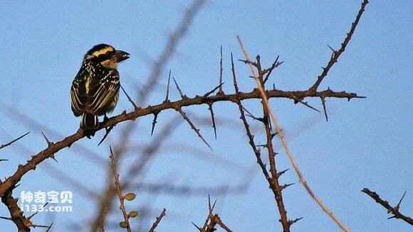 2023051485858318.jpg 6fb0ba638535e5ddc45f5d1a7cc6a7efcf1b6273_九雷图片转换器.jpg