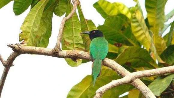 2023042296667457.jpg d06d55282df5e0fec7f41edd566034a85cdf72f5_九雷图片转换器.jpg