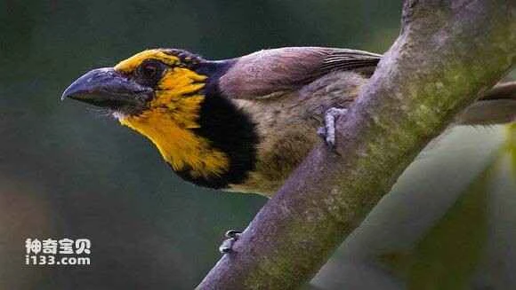 2023051461603328.jpg 8b166c4e78f0f736ad4324c60055b319eac4132e_九雷图片转换器.jpg