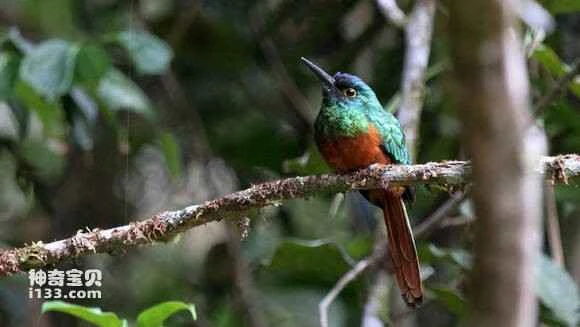 2023050821031574.jpg f131c24ad11373f0af5a735eae0f4bfbfaed0478_九雷图片转换器.jpg