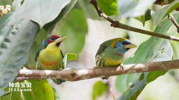 2023051215694398.jpg 4e7472940a7b02087a8f832268d9f2d3562cc826_九雷图片转换器.jpg