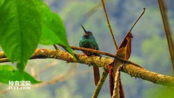 2023050810063867.jpg 94fde35594eef01feeb10404eafe9925bd317d39_九雷图片转换器.jpg