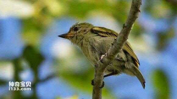 2023051412994557.jpg 7eade2b0cb1349544c8c1ea15c4e9258d3094adc_九雷图片转换器.jpg