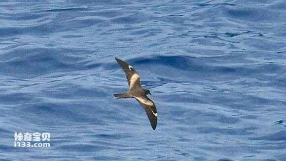 2023031510629584.jpg b237b989d43f8794c9c7b6f0d81b0ef41ad53aa3_九雷图片转换器.jpg