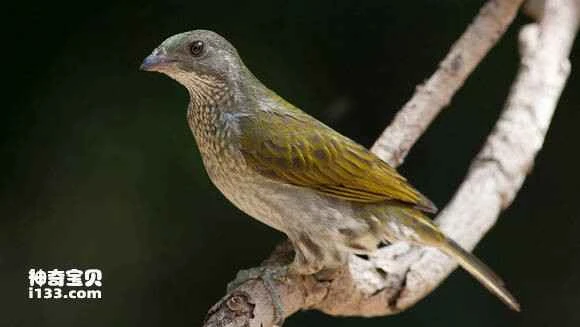 1684425511270913.jpg 7c125ba95edf8db1914ae2530223dd54564e7410_九雷图片转换器.jpg