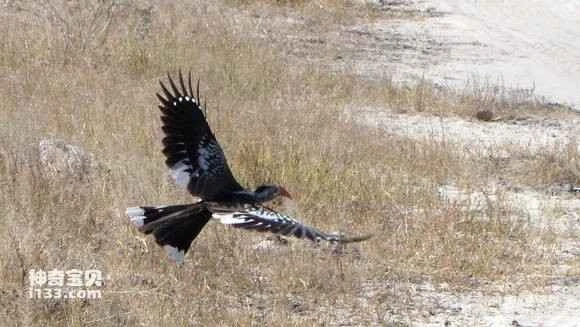 2023050310747385.jpg 2fc1602542a7d933f52ec144a34bd11372f001f1_九雷图片转换器.jpg