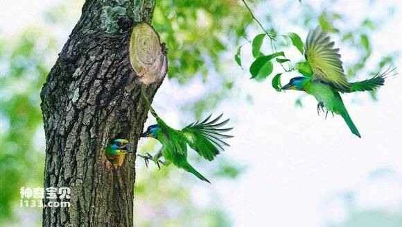 2023051759920279.jpg d65604610c3387449e5326485a0fd9f9d62aa0e7_九雷图片转换器.jpg