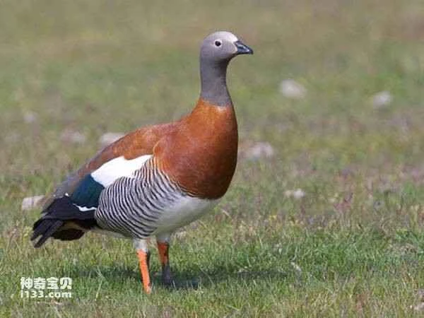 2023030420395350.jpg 07bb2e4e6f7f2b47c150ab515aaba2a9_九雷图片转换器.jpg