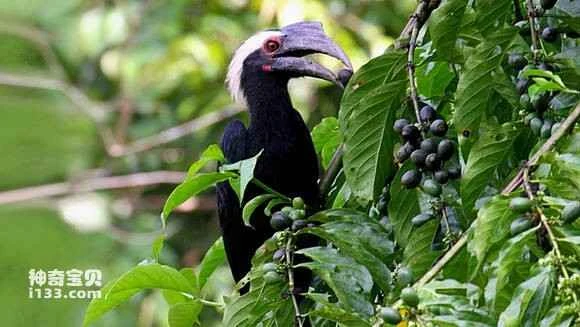 2023050416252245.jpg 0e01e4d5b31c870127af76dc297f9e2f0708ff67_九雷图片转换器.jpg