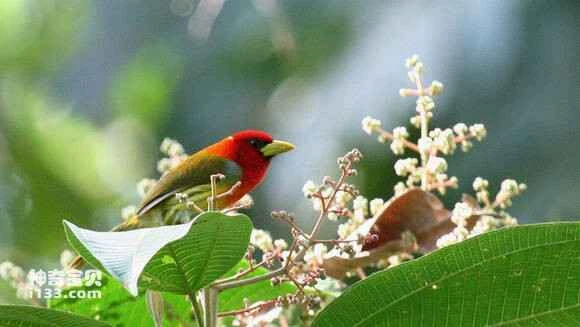 2023051216484341.jpg a07876d9bc3eb135bd050a78ac1ea8d3ff1f44a2_九雷图片转换器.jpg