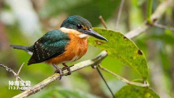 2023043011311384.jpg bb2220c3d5628535c1ea2f5d9def76c6a7ef6333_九雷图片转换器.jpg