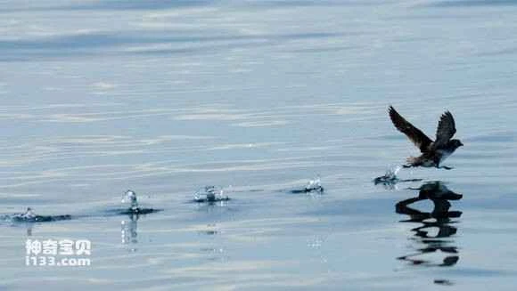 2023031675316001.jpg 97372ca88226cffc46548573b2014a90f703ea6c_九雷图片转换器.jpg