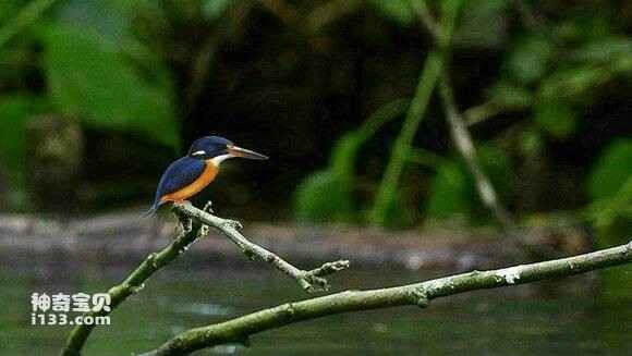 2023050120826023.jpg ad626ee83901213f7a885b8259e736d12e2e95ac_九雷图片转换器.jpg