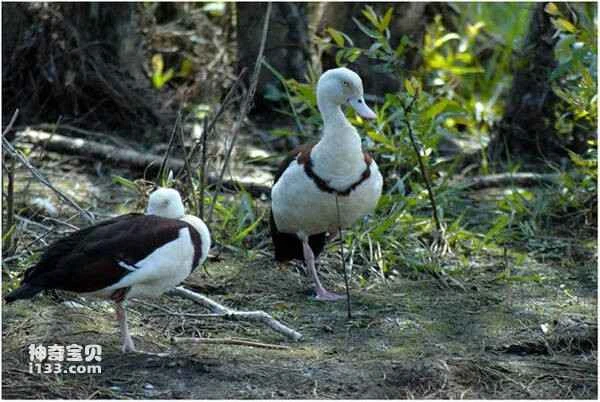 2023030755572043.jpg 8ada16c895d871d69c37253a66469ed0_九雷图片转换器.jpg