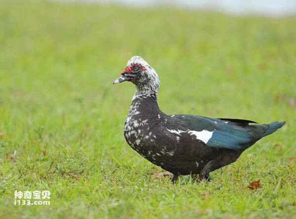 2023030320297071.jpg 6d06cf82c8bc9825caf1ada3acaae093_九雷图片转换器.jpg