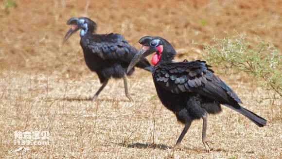 2023050240886157.jpg 6f384fa5462309f7783c214c7f0e0cf3d6cad695_九雷图片转换器.jpg