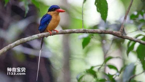 2023042517885566.jpg 1608b5b54aed2e733c3073fc8c01a18b85d6fafd_九雷图片转换器.jpg