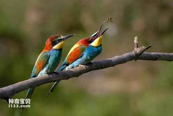 2023042111671943.jpg 9213b07eca8065380cd7c2a46b95b644ad3459822479_九雷图片转换器.jpg