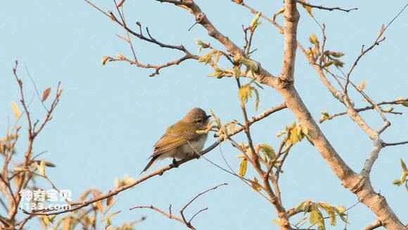 2023051852112052.jpg ed631d8a4710b912bf4e7bcbc8fdfc03934522ef_九雷图片转换器.jpg