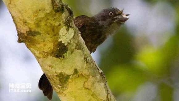 2023051318086065.jpg b1fdcfed08fa513dc6d0e01b376d55fbb3fbd975_九雷图片转换器.jpg