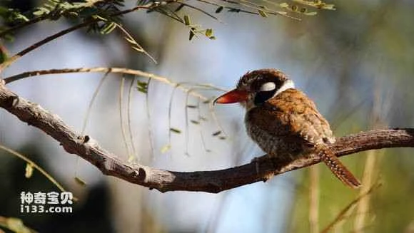 2023050956127741.jpg 93acf383d158ccbfb0bdb5fb13d8bc3eb0354165_九雷图片转换器.jpg