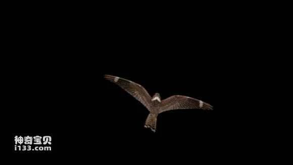 2023041499439050.jpg 6f384fa5462309f77ef22ff77b0e0cf3d6cad62e_九雷图片转换器.jpg