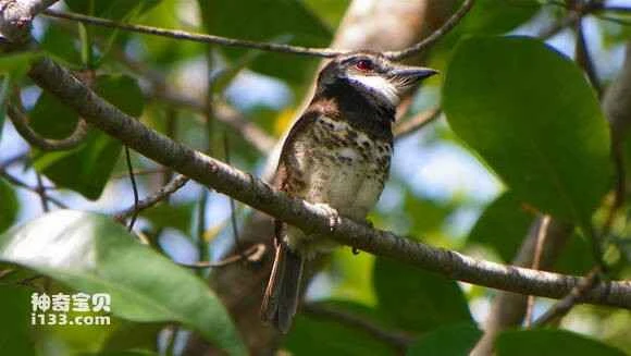 2023050910978102.jpg 8136c2355982b2b7740b3f053badcbef74099bca_九雷图片转换器.jpg