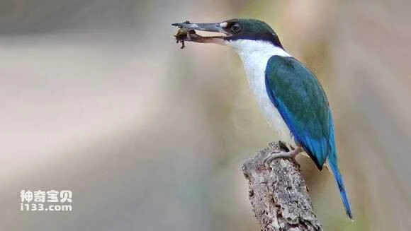 2023042784815628.jpg c08cf624bc315c60c0f6529c80b1cb13485477d1_九雷图片转换器.jpg