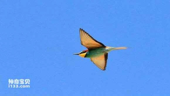 2023042141043833.jpg 402b4a2cd42a28342e45a2d751b5c9ea17cebffa_九雷图片转换器.jpg