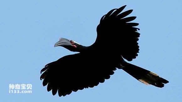 2023050420778106.jpg 93acf383d158ccbf7138700017d8bc3eb03541f3_九雷图片转换器.jpg